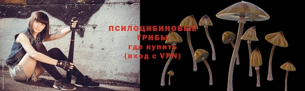 MDMA Беломорск