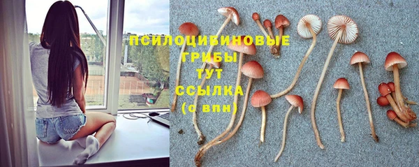 каннабис Белокуриха